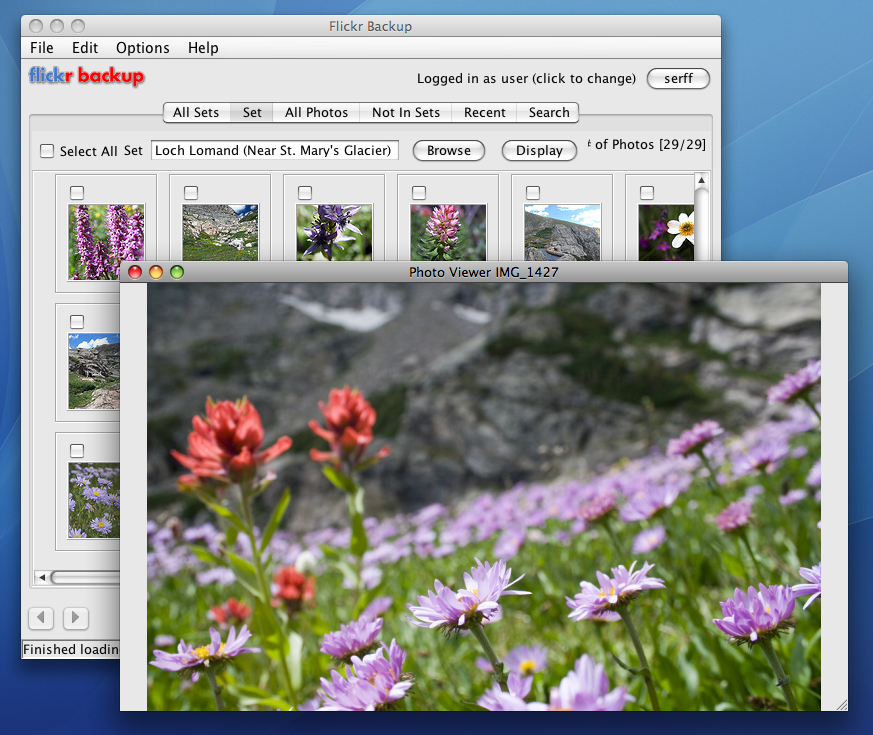 FlickrBackup Photo Viewer